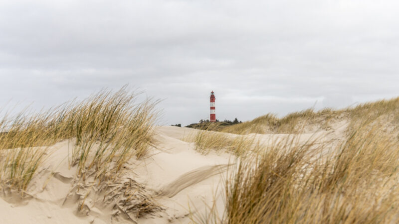 Rückblick durch die Dünen