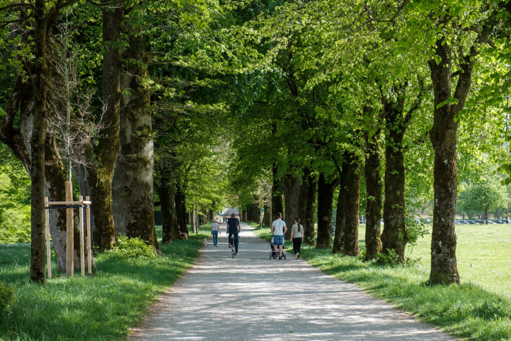 Schnurgerade zum Schloss Hellbrunn.