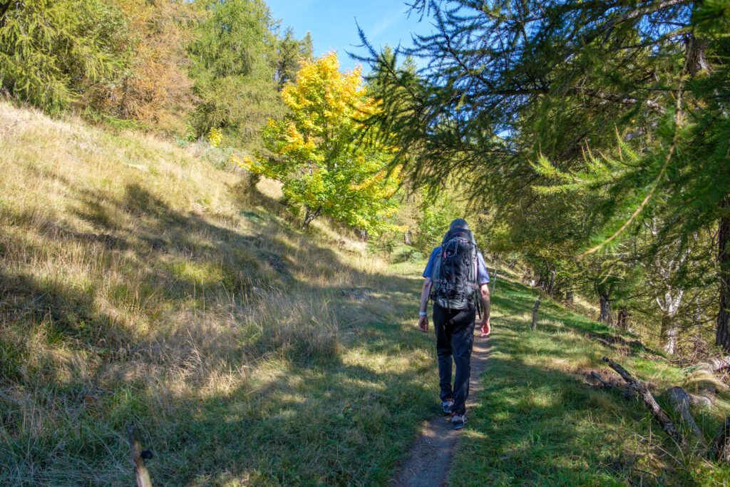 Auf dem Weg.