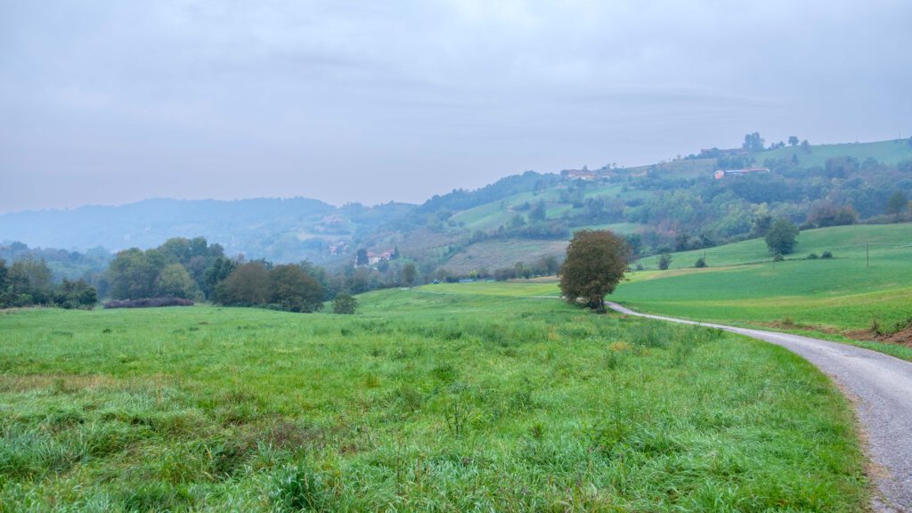 Herbstmorgen bei Bossolasco