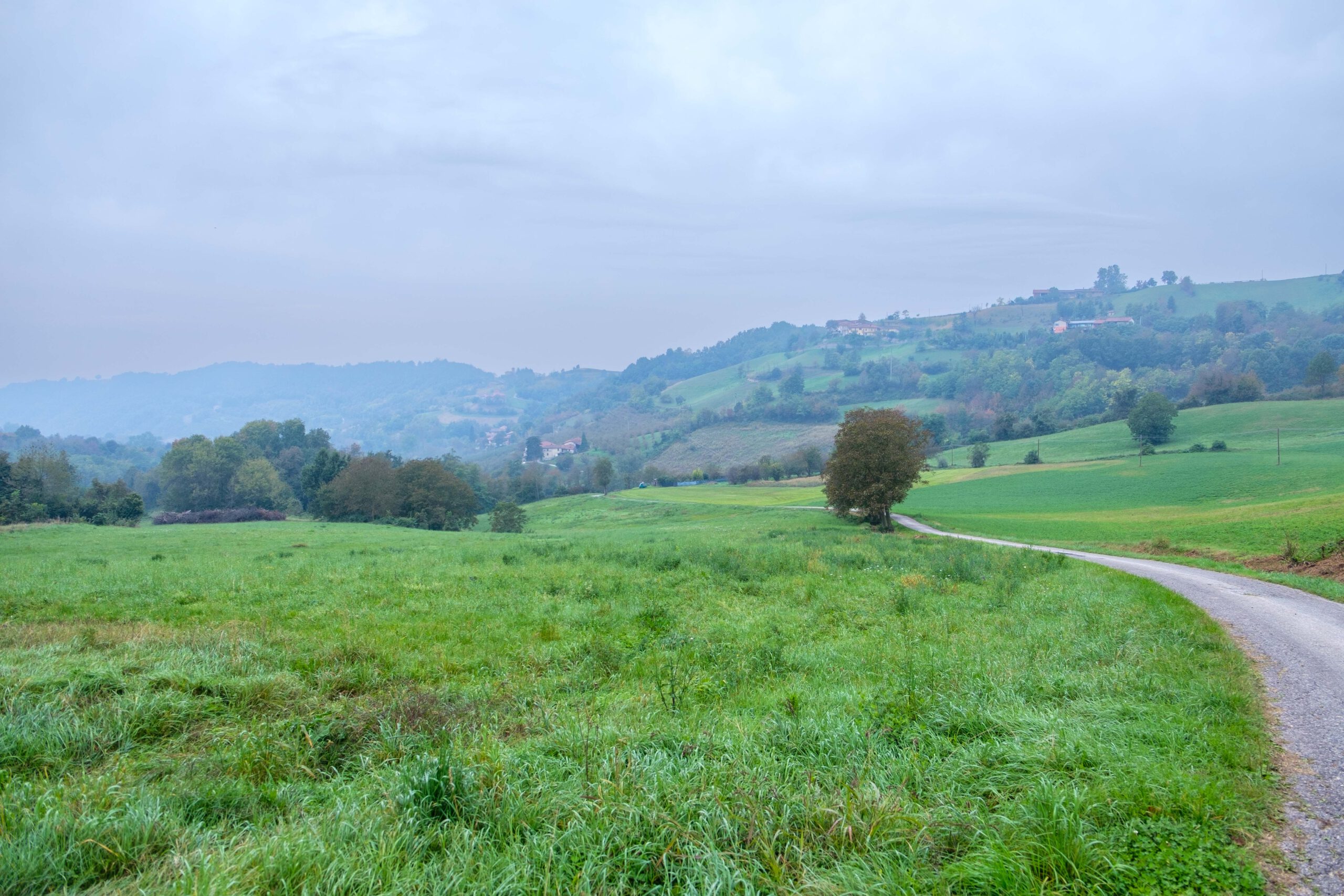 Herbstmorgen bei Bossolasco