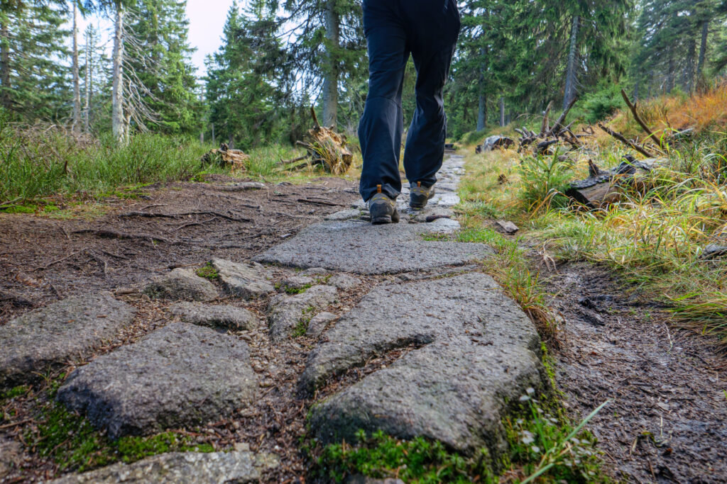 ... und hinein in den Nationalpark Riesengebirge.