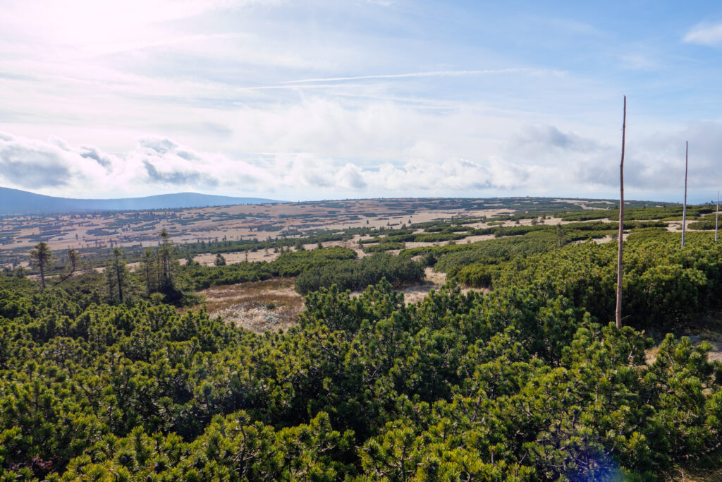 Riesige Riesengebirgslandschaft.