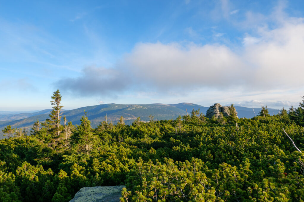 Blick über das Riesengebirge.