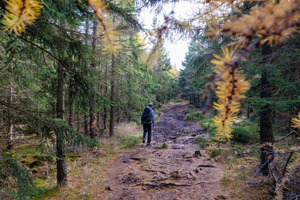 Weiter geht's in den Sudeten, hinein ins Riesengebirge.